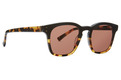 Alternate Product View 1 for Morse Sunglasses TORTUGA DE / BRONZE