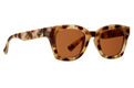 Alternate Product View 1 for Gabba Polarized Sunglasses DSTY TRT SAT/BRZ PLR