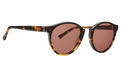 Alternate Product View 1 for Stax Sunglasses TORTUGA DE / BRONZE