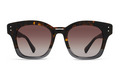 Alternate Product View 2 for Belafonte Sunglasses TOR-LINE GRY/BRN GRD