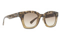 Gabba Sunglasses OLIVE TRT/OLIVE GRAD Color Swatch Image