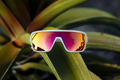 Alternate Product View 6 for Defender Sunglasses D BTLSHP / BRNZ ORG